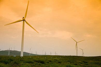 许可协议到期 弹幕射击游戏《虫姬》8月从Switch下架